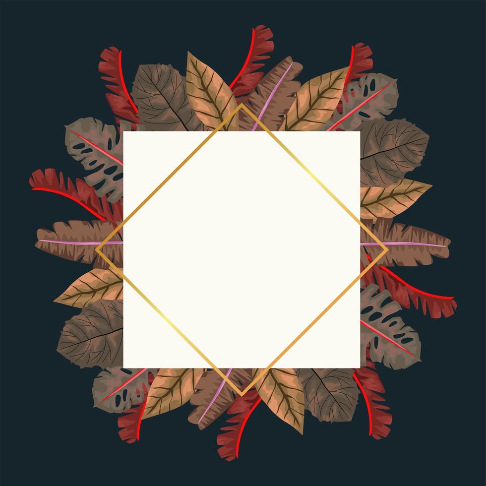dry autumn leafs in square figure frame vector