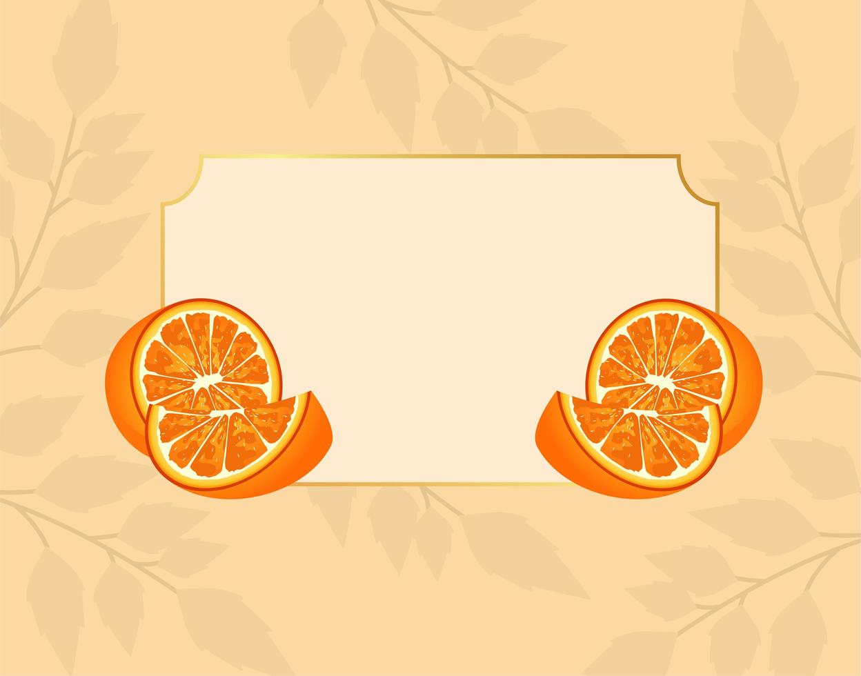 citrus fruit poster with oranges in frame vector