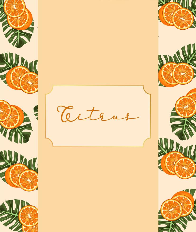 citrus fruit poster with oranges and leafs frame vector