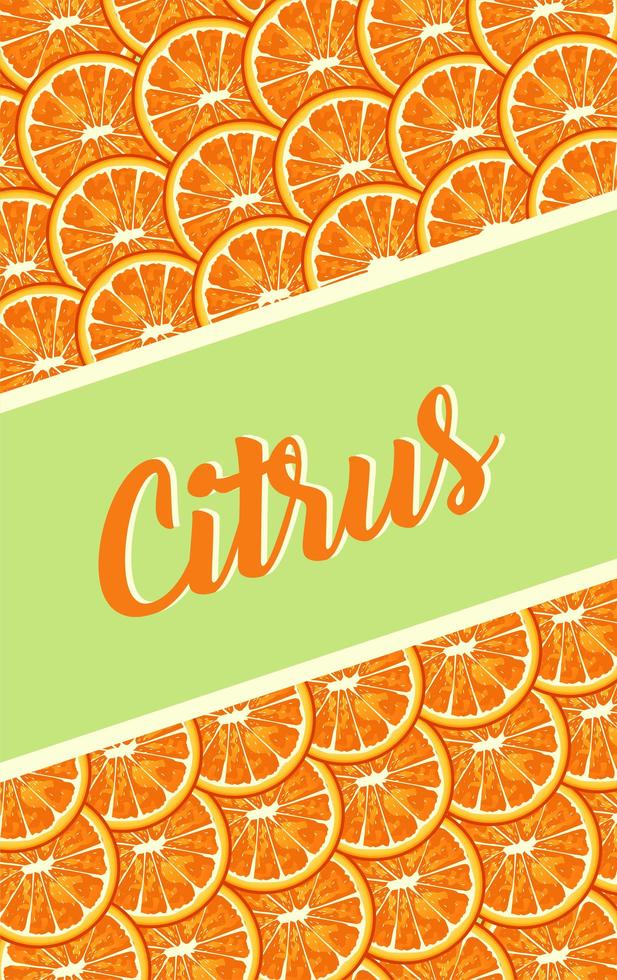 citrus fruit poster with oranges pattern and lettering vector