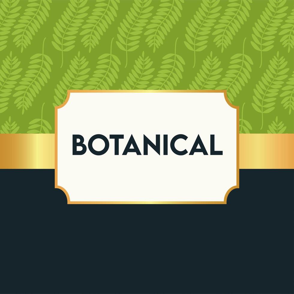 botanical lettering in poster with leafs pattern and golden frame vector