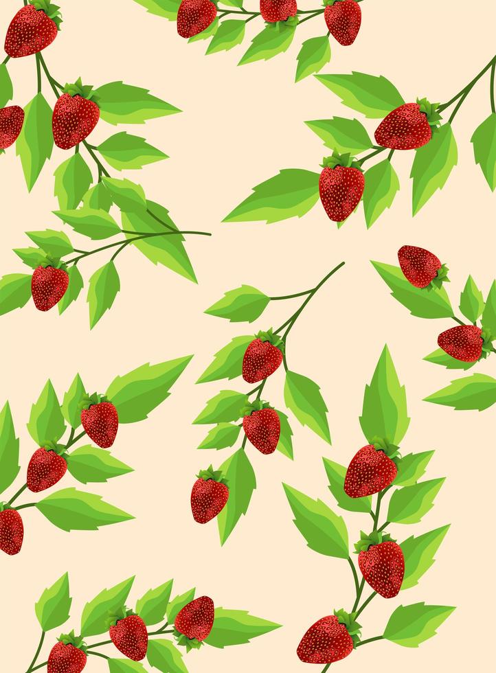 fresh strawberries fruits and leafs pattern background vector