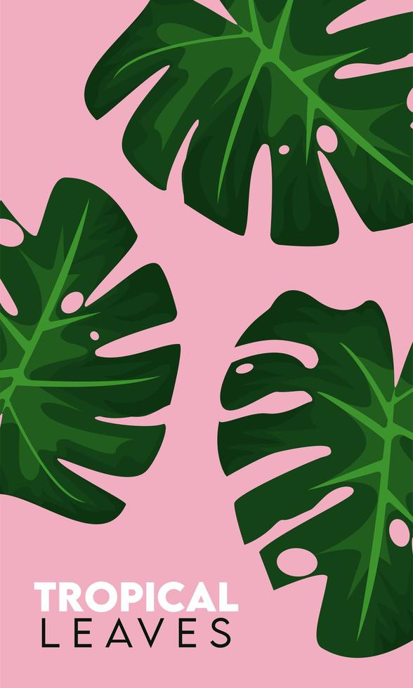 tropical leaves lettering poster with leafs vector