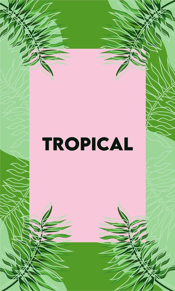 cartel de letras tropicales con hojas de palmeras en marco cuadrado rosa vector