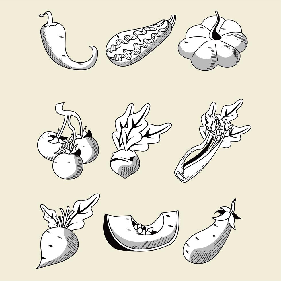 bundle of nine vegetables set icons vector