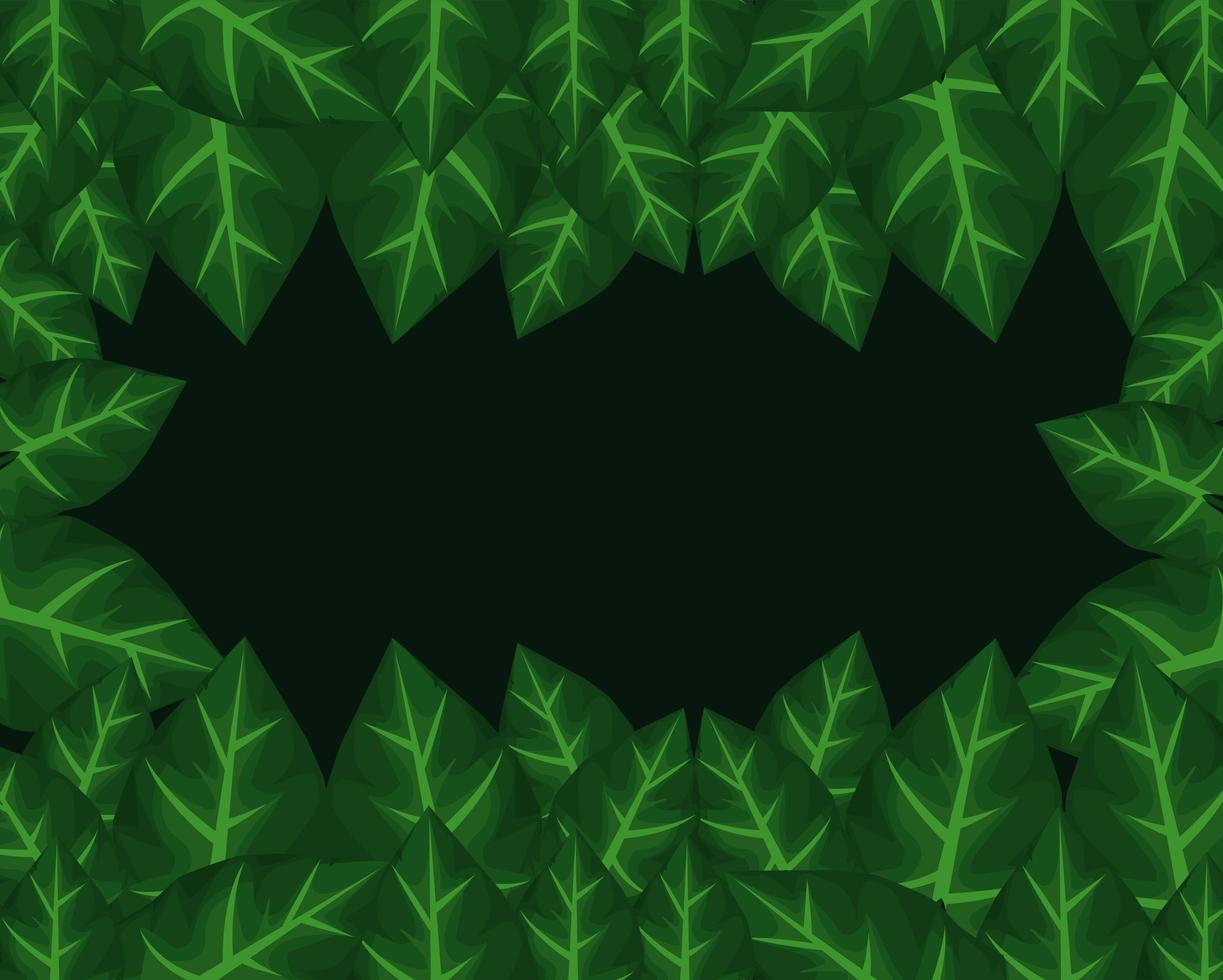 tropical frame decorative with green leafs in black background vector