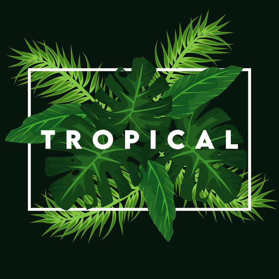 tropical lettering poster with green leafs in square frame vector