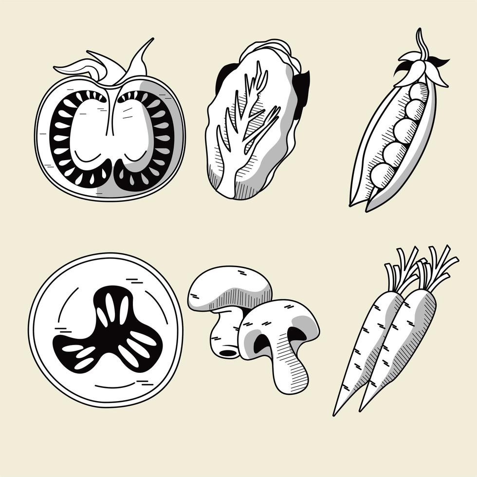 bundle of six vegetables healthy food set icons vector