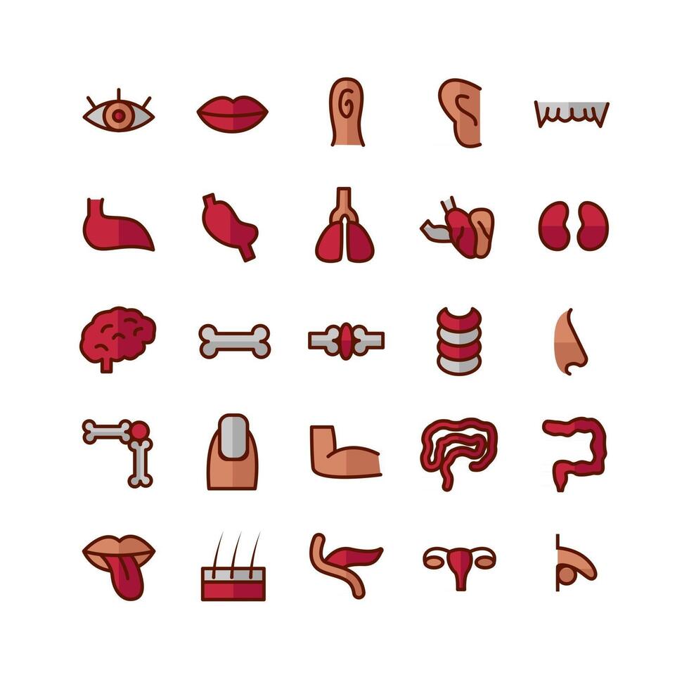 Human Organ icon set vector flat line for website mobile app presentation social media Suitable for user interface and user experience