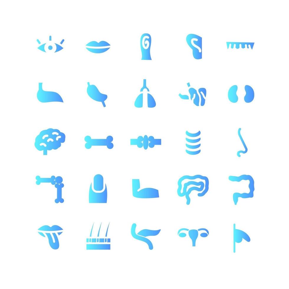 Human Organ icon set vector gradient for website mobile app presentation social media Suitable for user interface and user experience