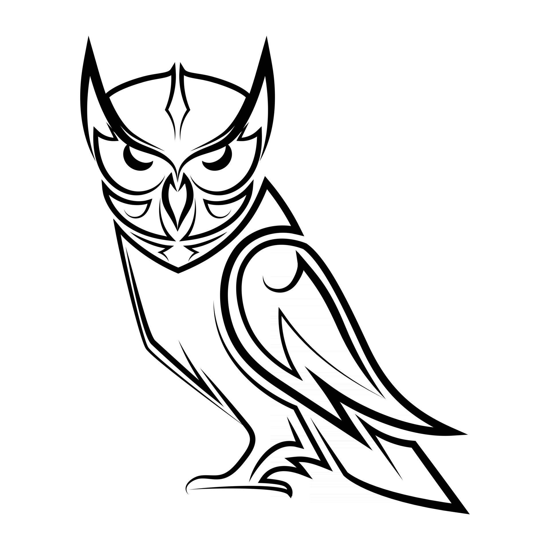 Black and white line art of owl 2531141 Vector Art at Vecteezy