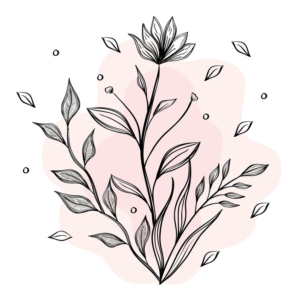 flower and leaves plants nature drawn icon vector