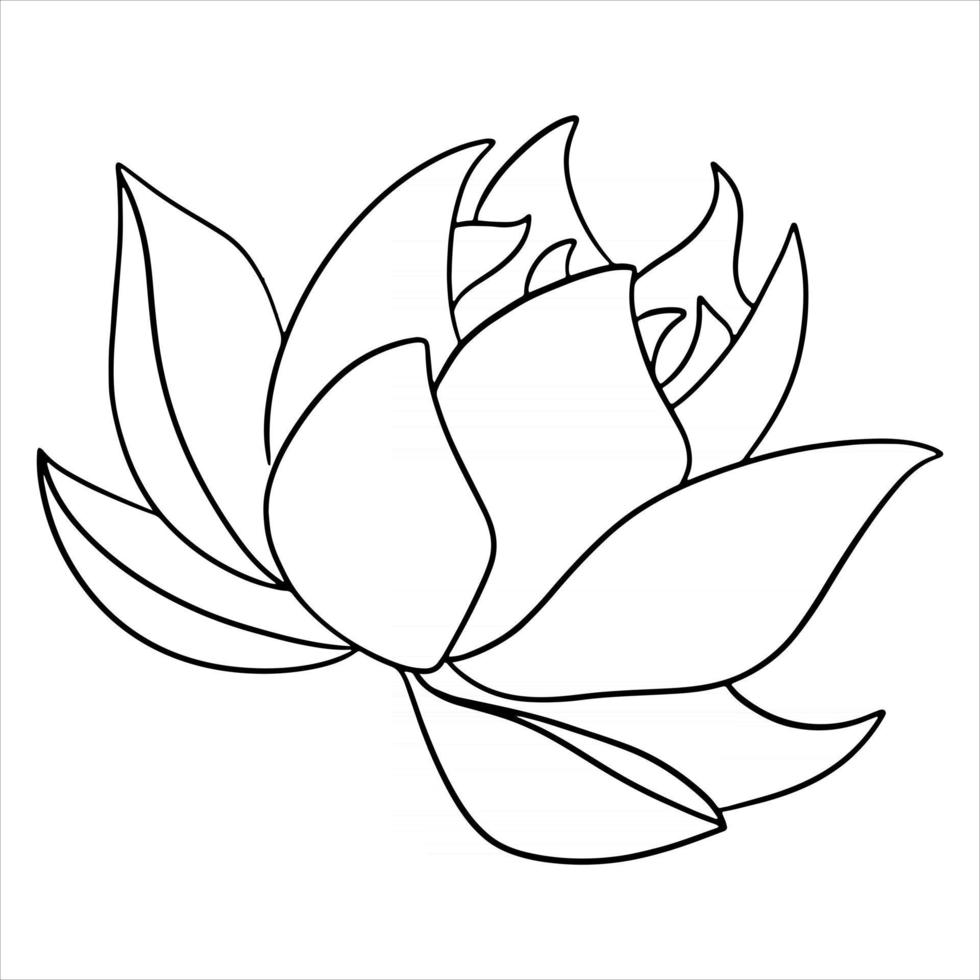 Tropical plant bright flower in line style for coloring book vector