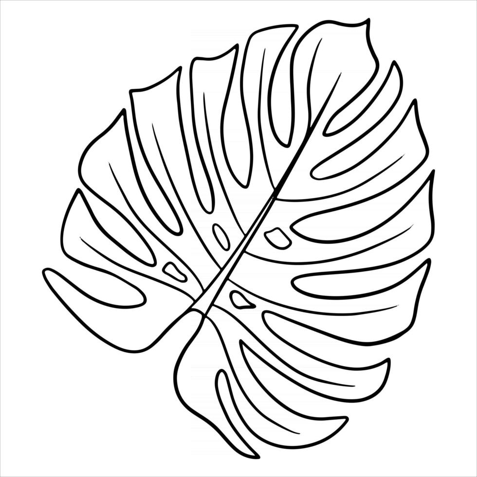 Tropical plants exotic carved green leaf in line style coloring book vector