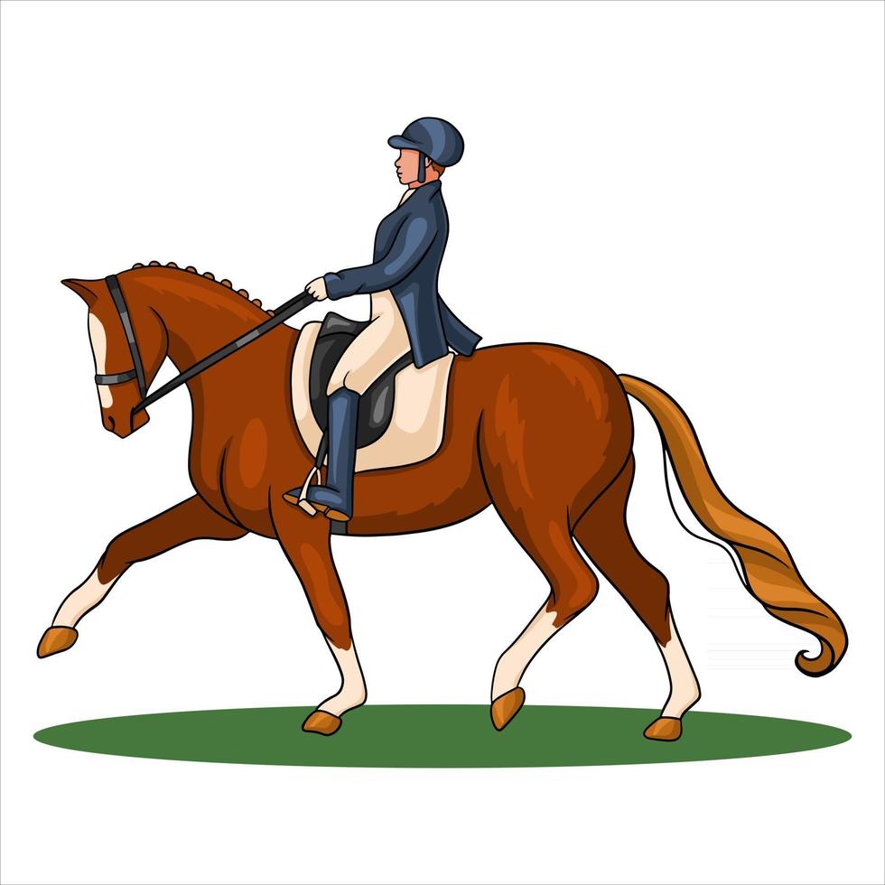 mujer de equitación montando caballo de doma en estilo de dibujos animados vector