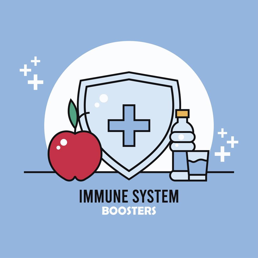 immune system booster shield with apple and water bottle vector