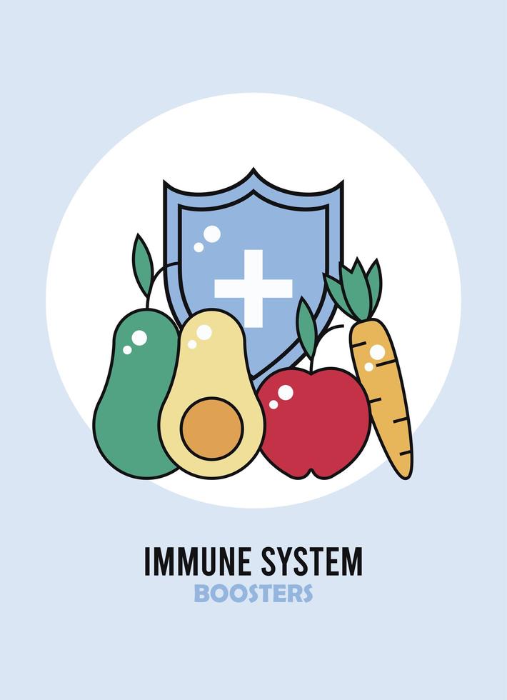 immune system booster shield with vegetables vector