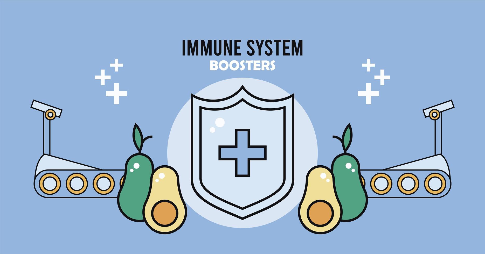immune system booster shield with vegetables vector