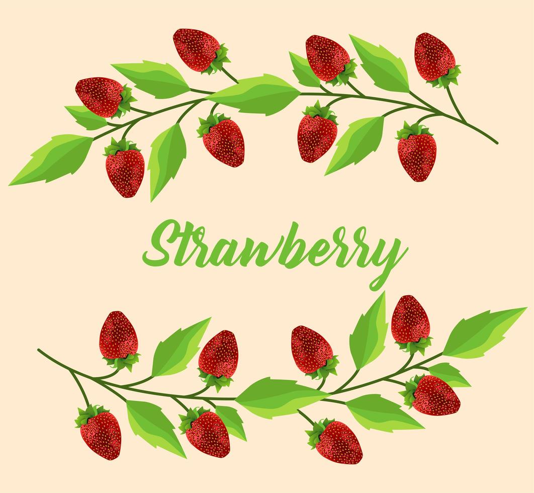 fresh strawberries fruits poster with lettering vector