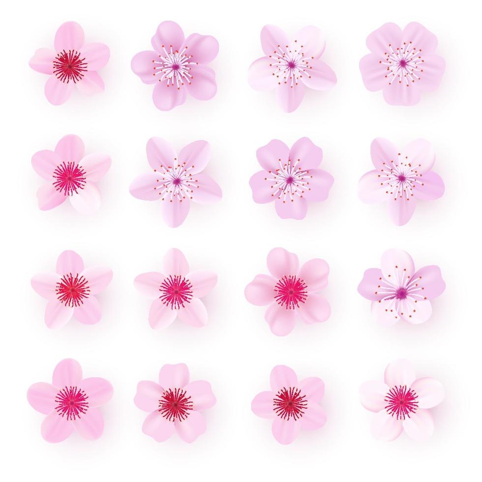 Realistic pink sakura petals icon set Cherry flowers vector