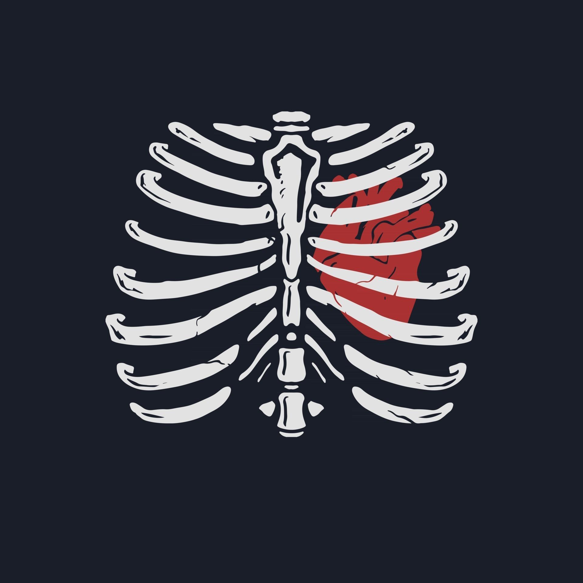 Heart in a rib hand drawn illustration 2534513 Vector Art at Vecteezy