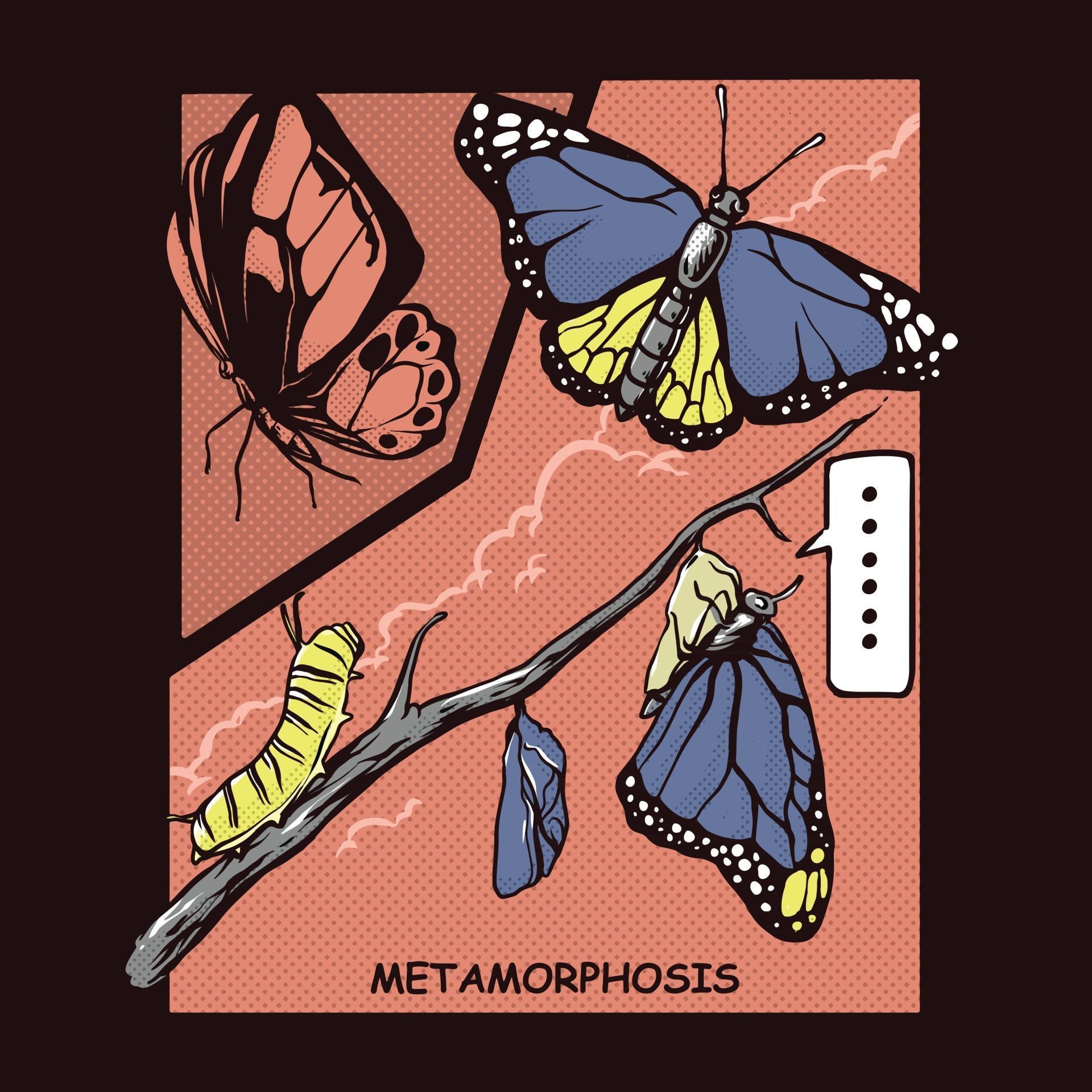 Включи metamorphosis 2. Metamorphose или Metamorphosis. Metamorphosis картинка. Метаморфоз бабочка Барон. Картинка Метаморфоза бабочки.