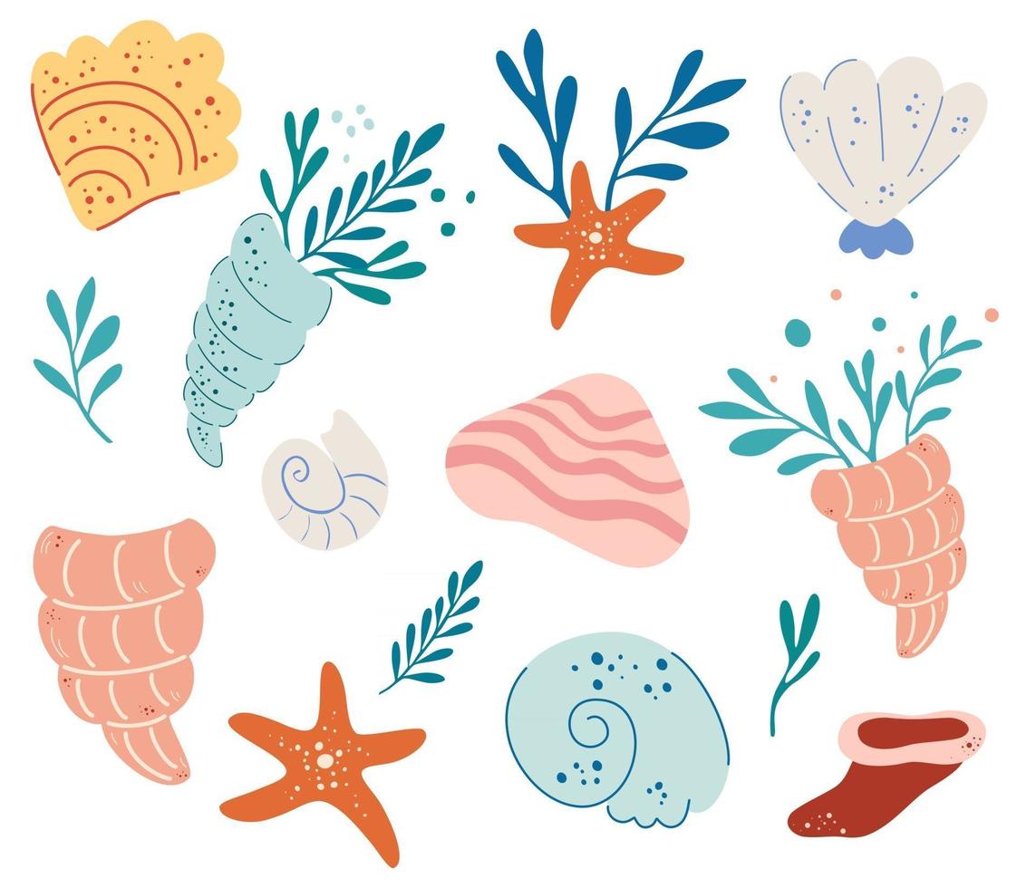 Set of seashells vector