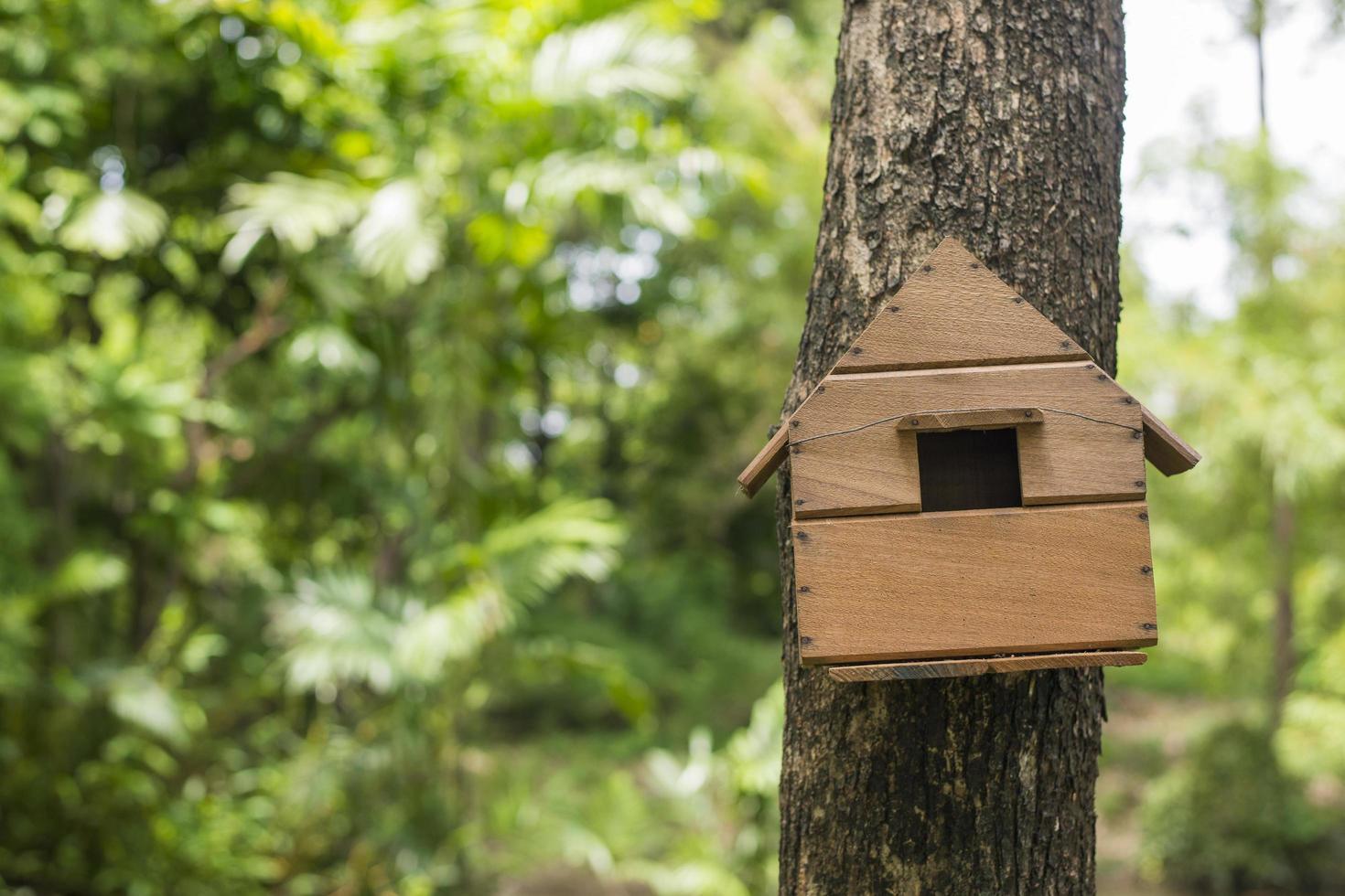 casa de aves en el árbol foto