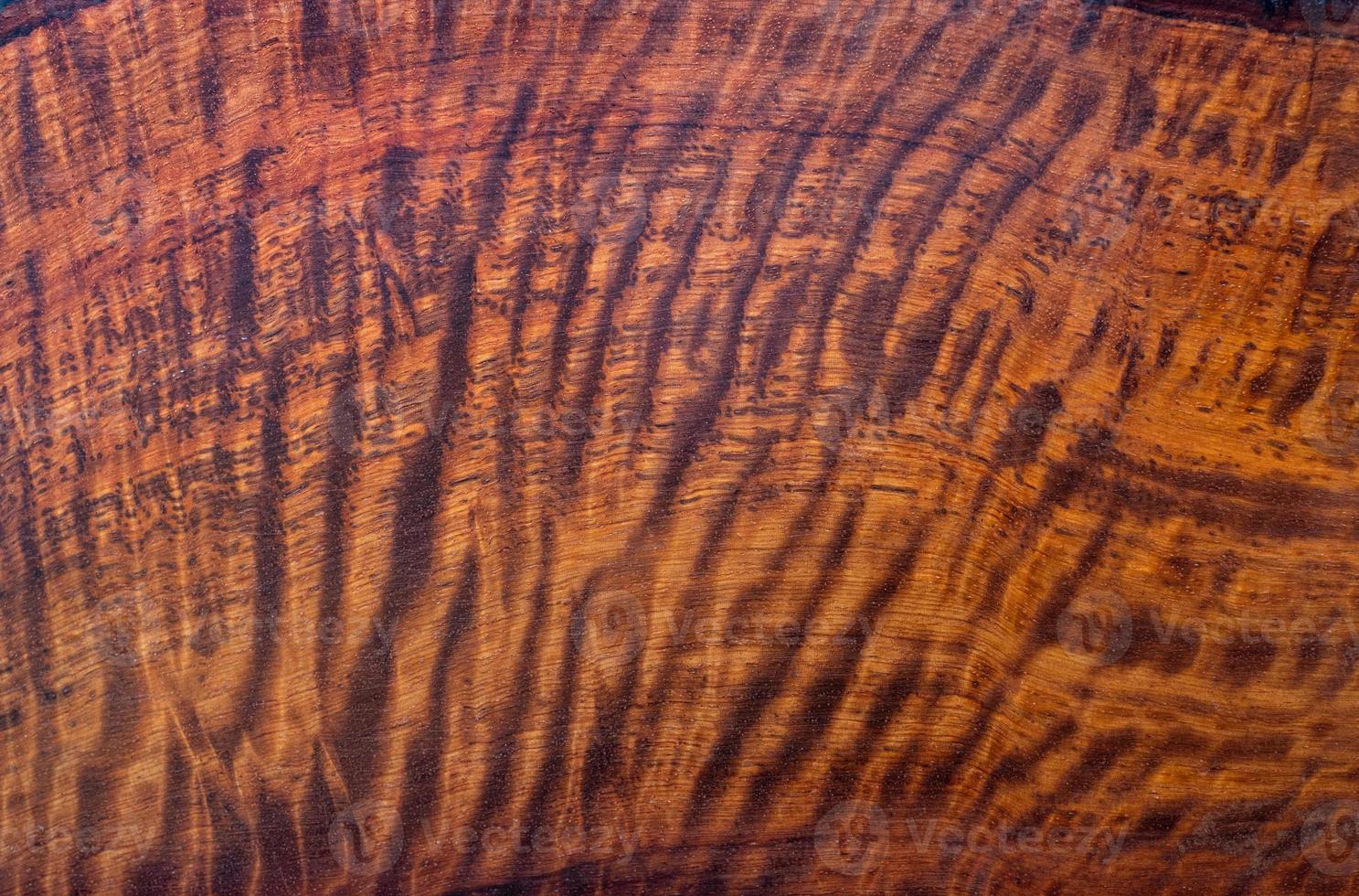 Natural Burma padauk wood has tiger stripe or curly stripe grain texture background surface photo