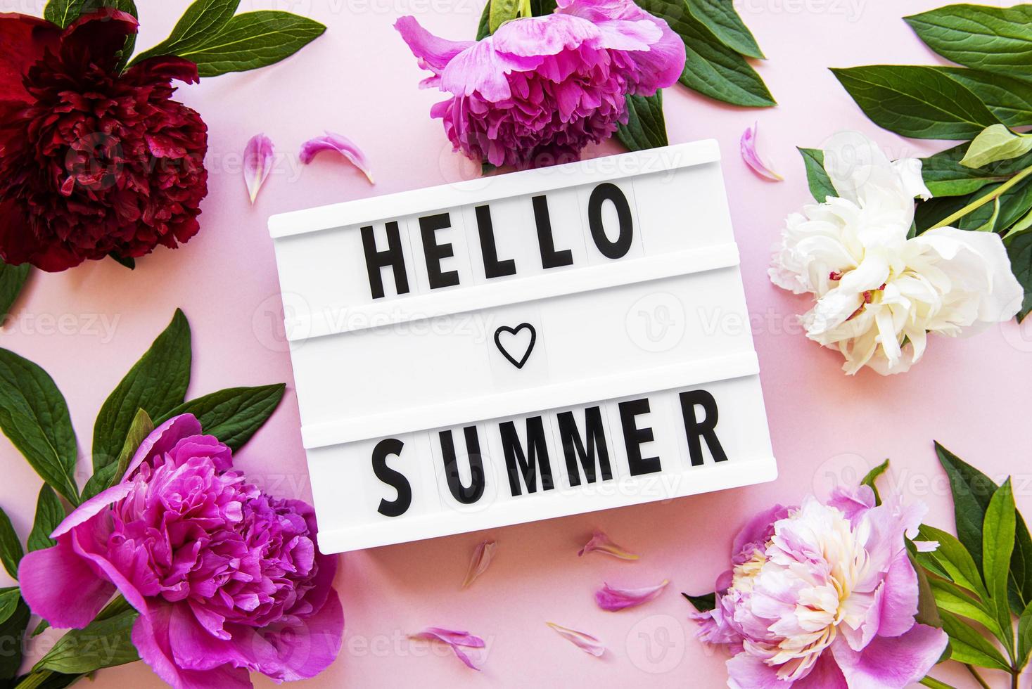 Light box with Hello summer text and peonies photo