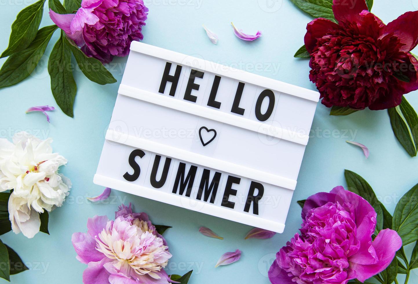 Light box with Hello Summer text and peonies photo