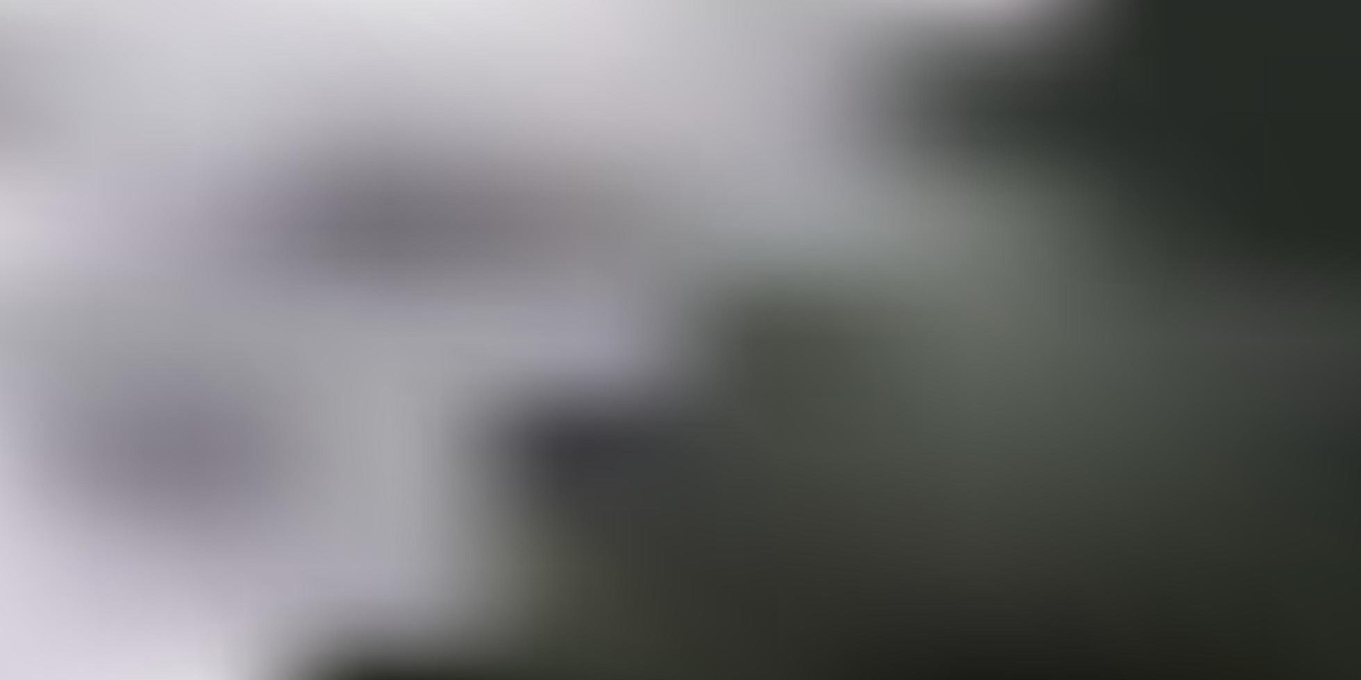 Light gray vector gradient blur layout