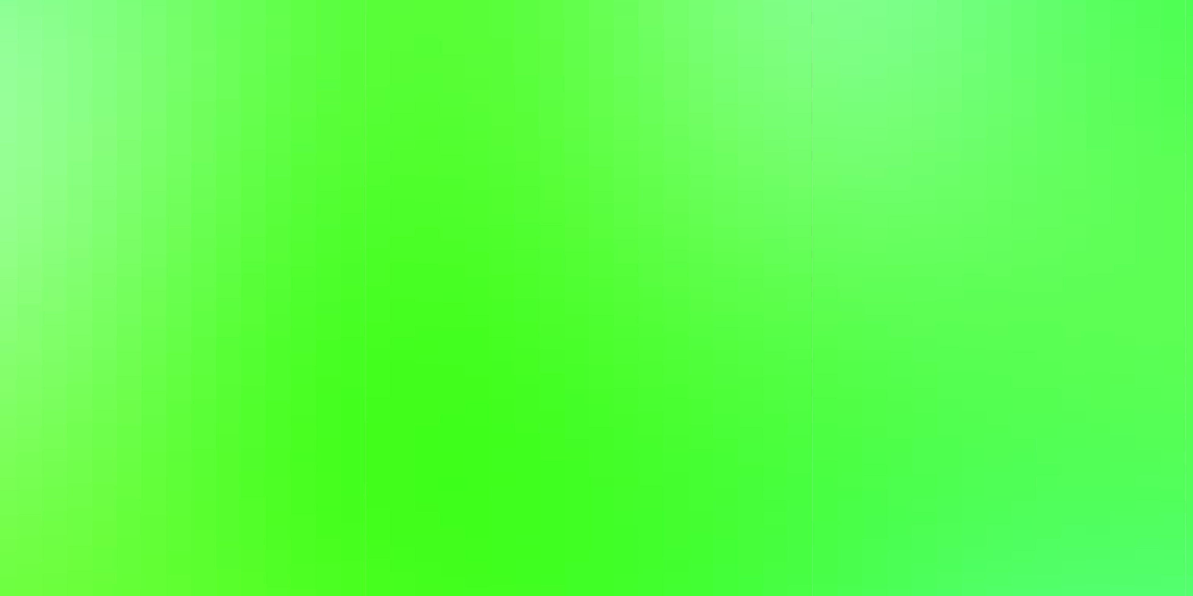 Light Green vector layout with lines rectangles New abstract