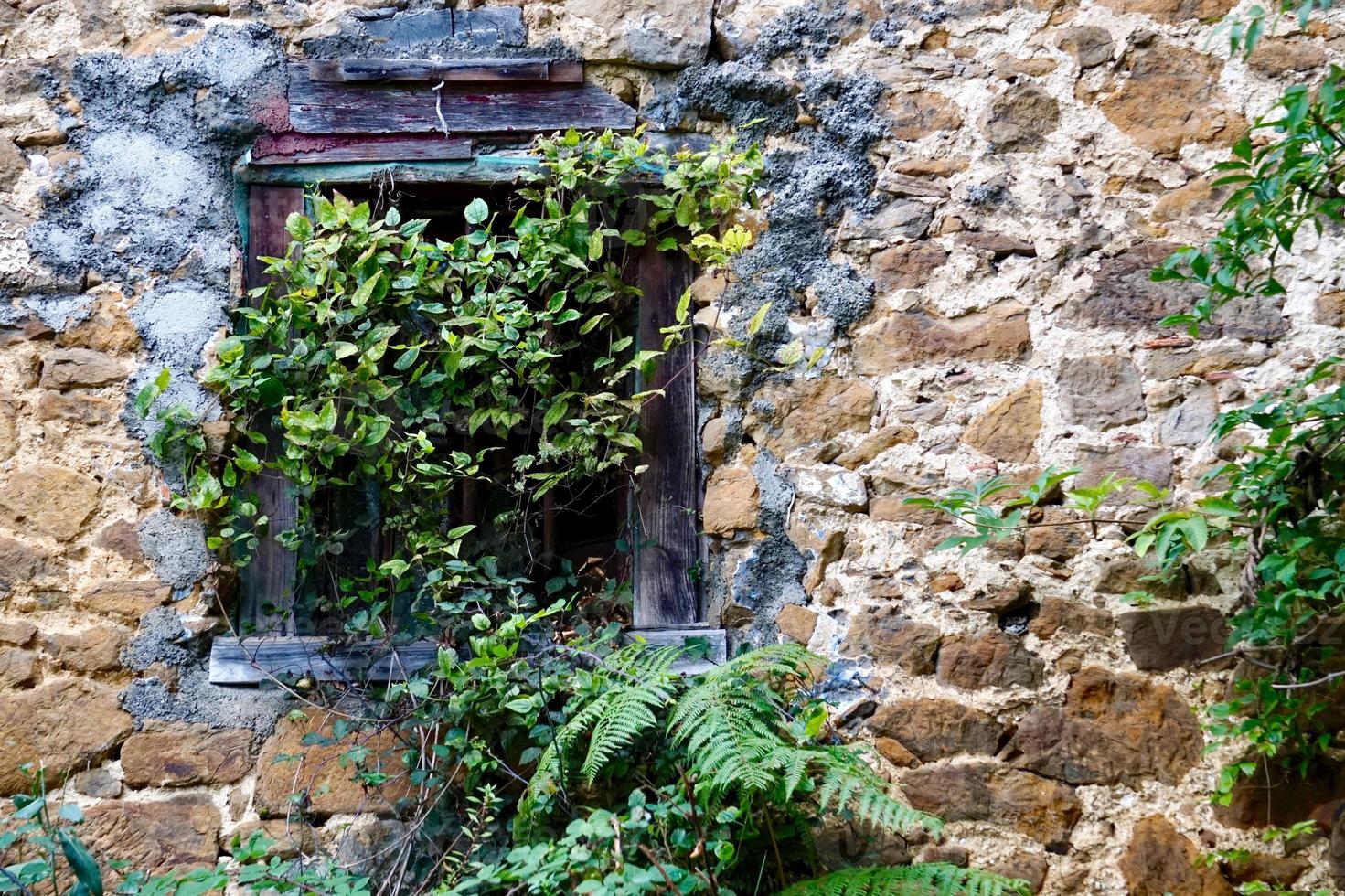 window on the old abandoned house photo