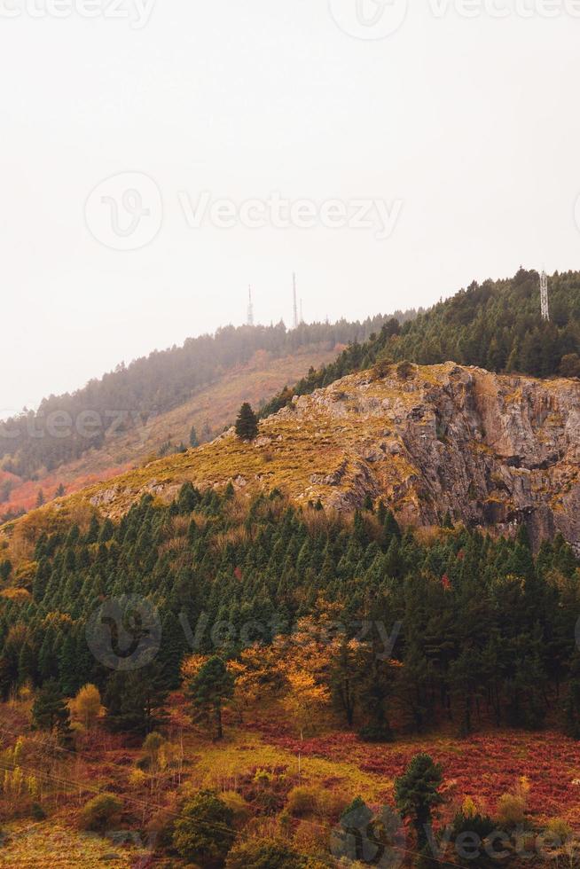 trees in the mountain in autumn season photo