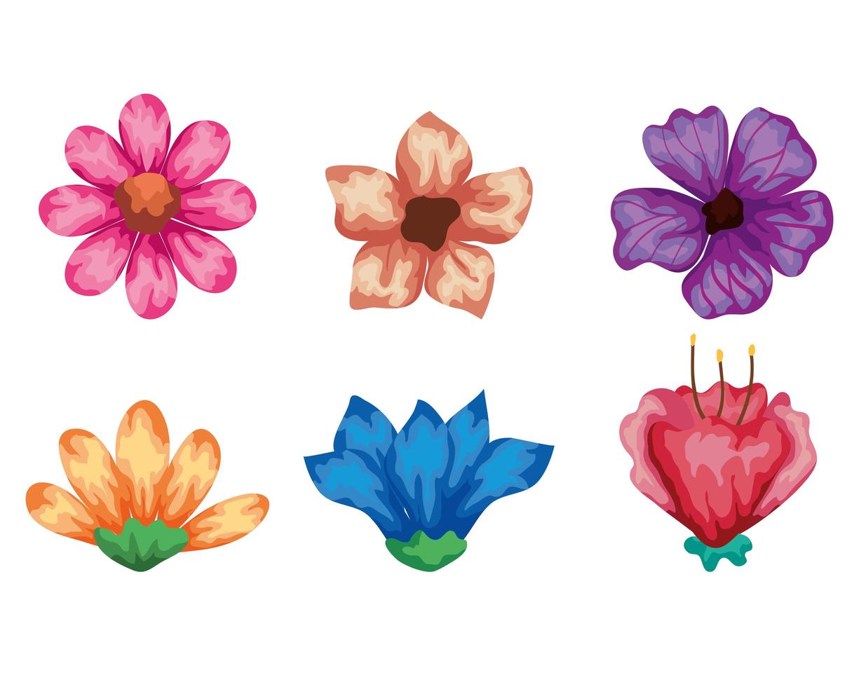 set of cute flowers naturals vector