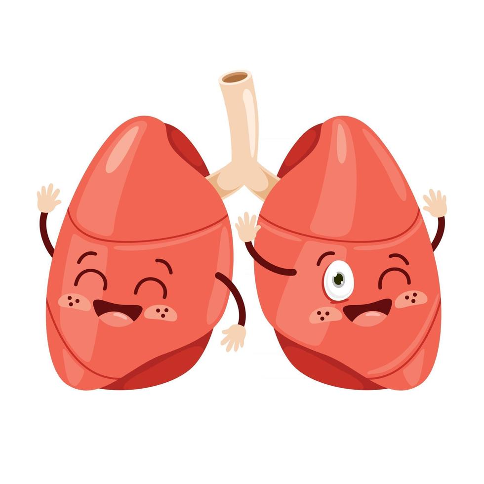 dibujo de dibujos animados de pulmones humanos vector