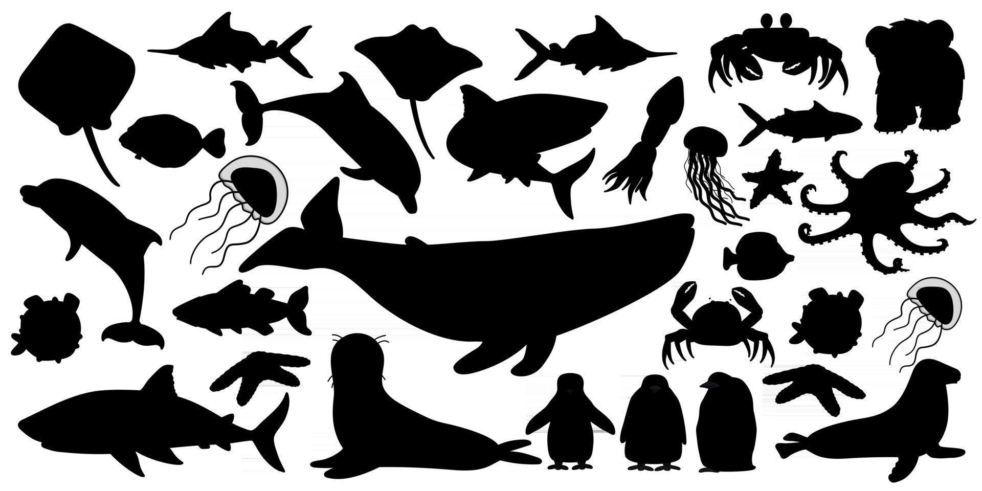 Big set of vector silhouette cartoon isolated sea ocean north animals Whale dolphin shark stingray jellyfish fish stars crab king Penguin chick octopus fur seal polar bear cub on white