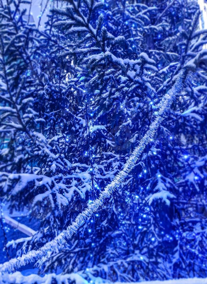 A magical image of a snow blue spruce with a garland of lights photo