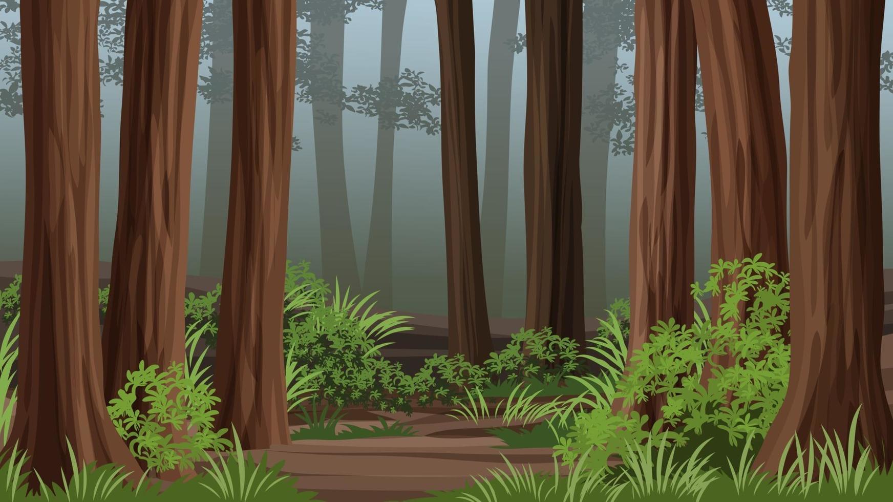 Redwood Forest Vector Landscape