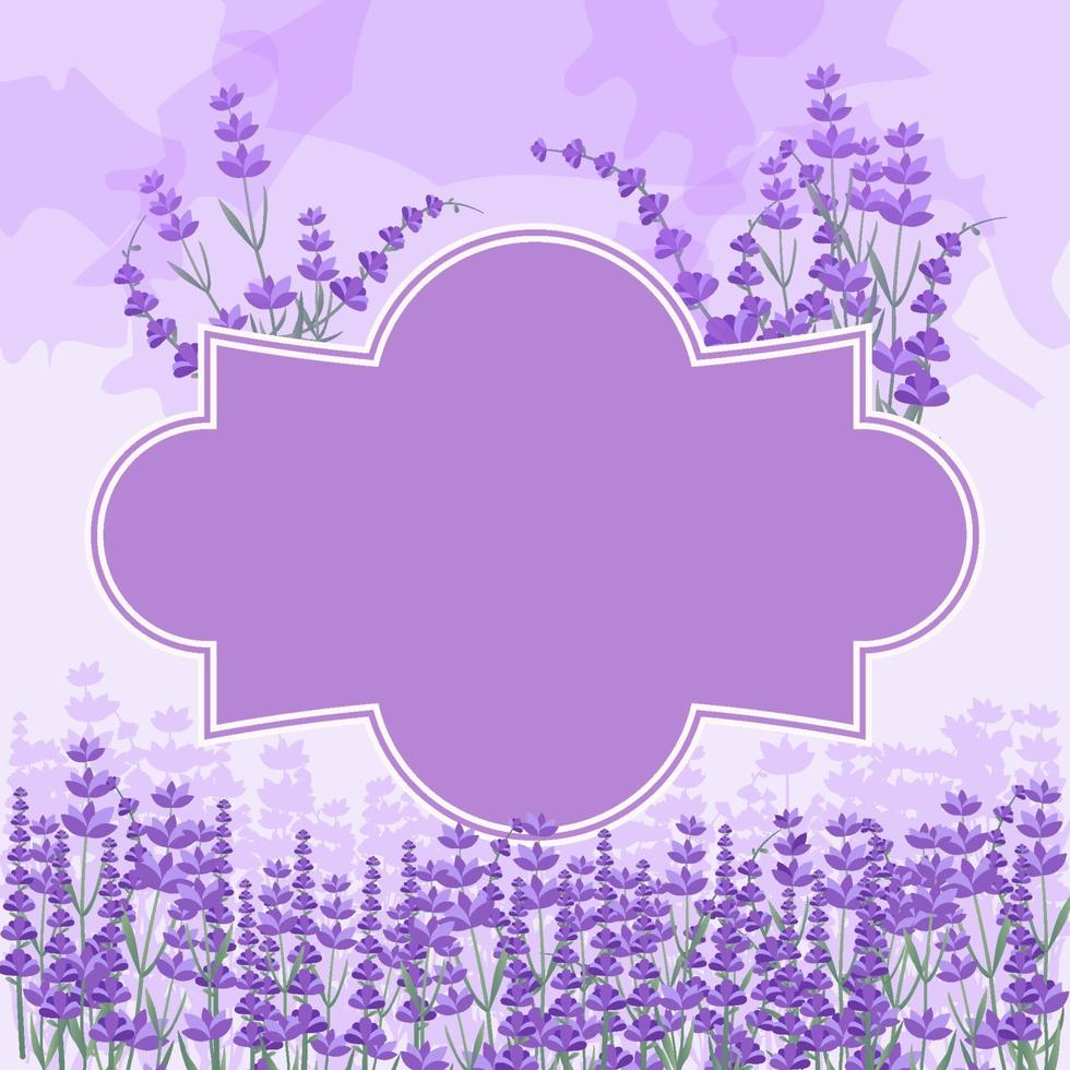 Beautiful Lavender Garden Framed Background vector