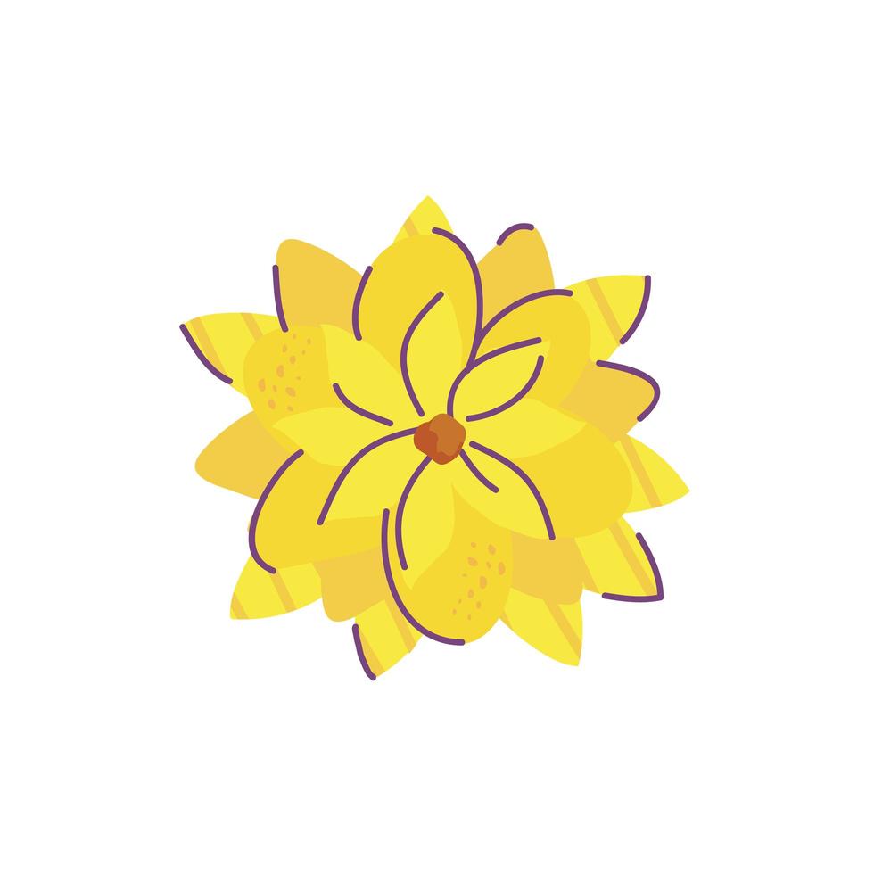 lindo, dalia, flor, naturaleza, aislado, icono vector