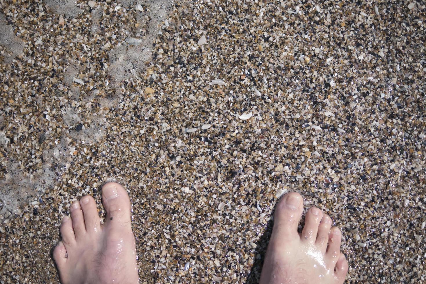 pies en la arena en el mar en verano foto