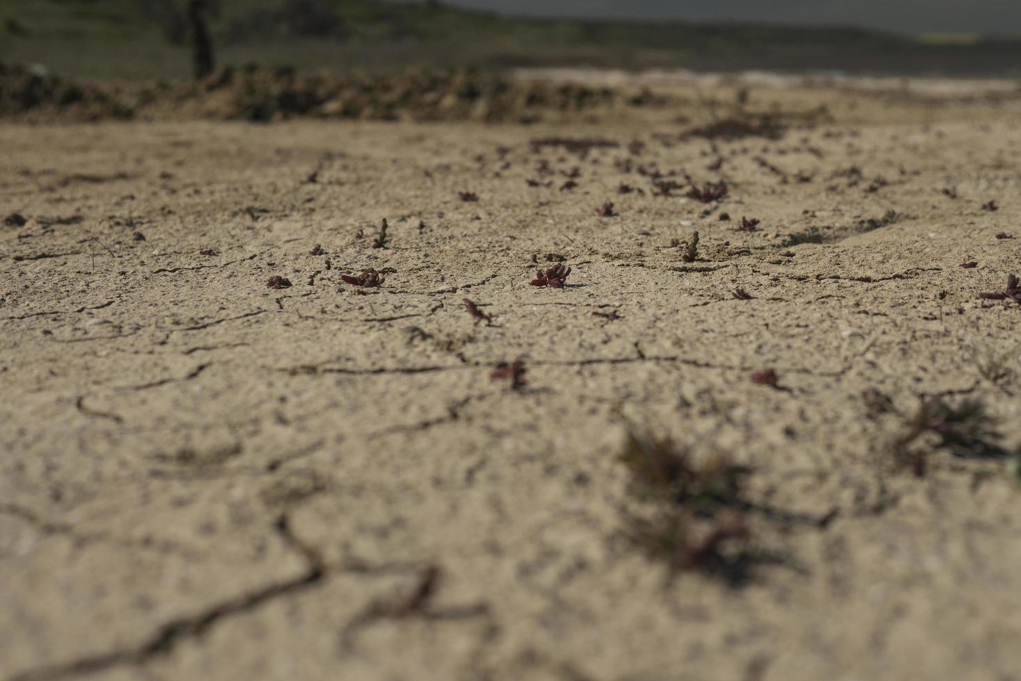 fondo de pantalla de tierra agrietada foto