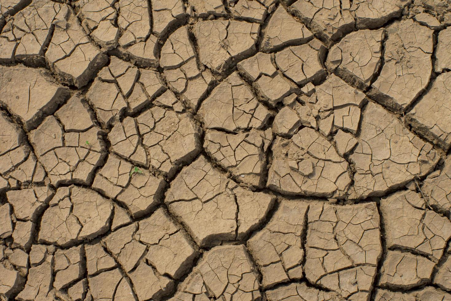 cracked earth wallpaper photo
