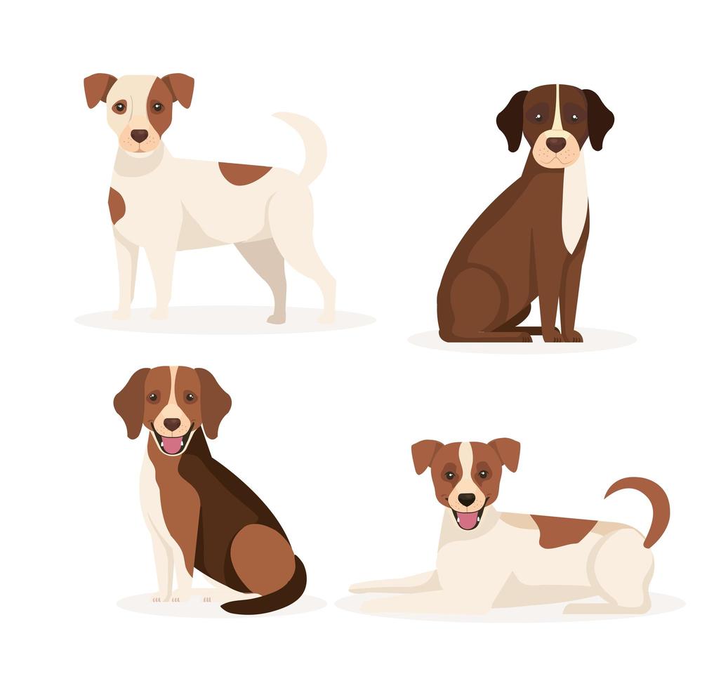 grupo de perros animales iconos vector