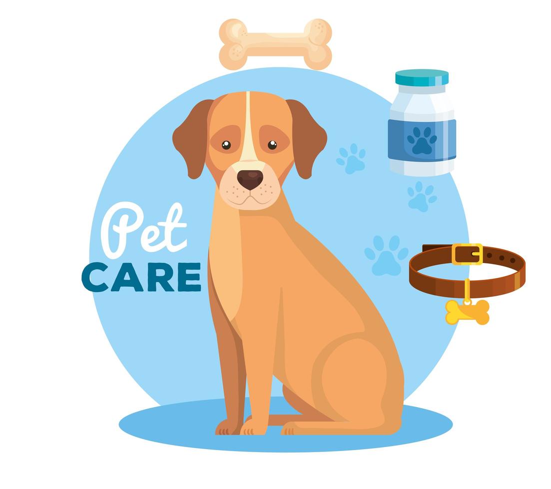 pet shop with dog and set icons vector