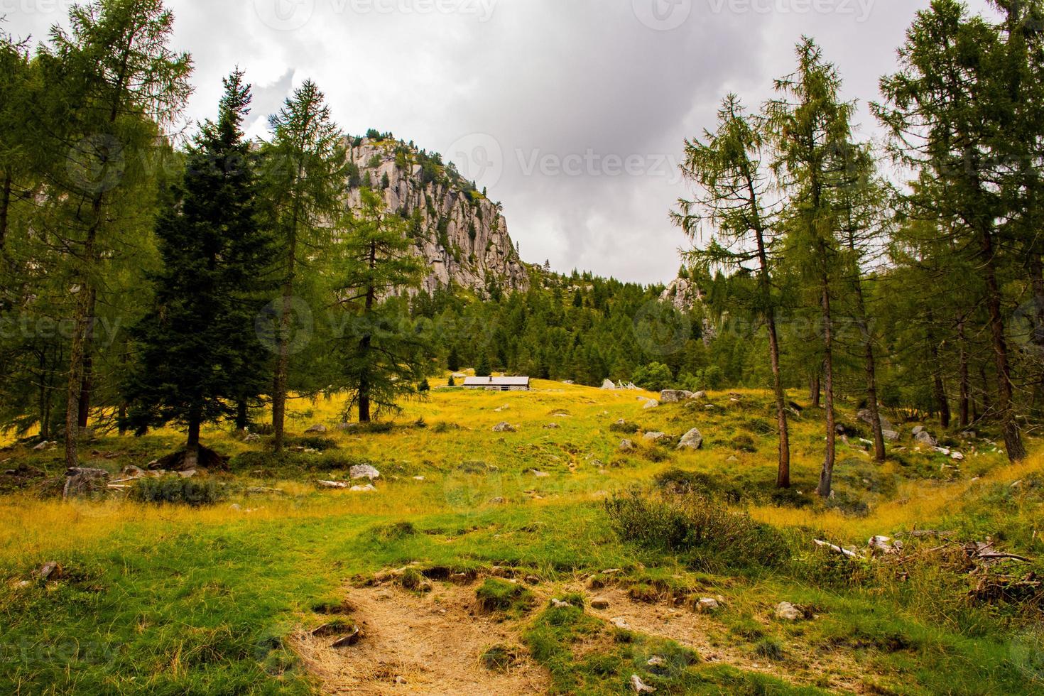 Mountain meadow and shelter photo