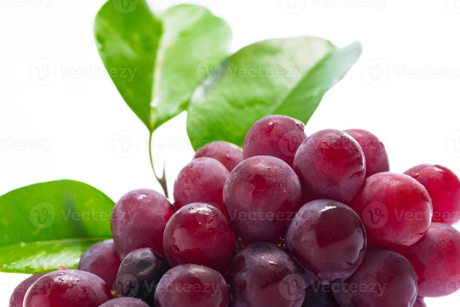 uvas rojas sobre acrílico blanco foto