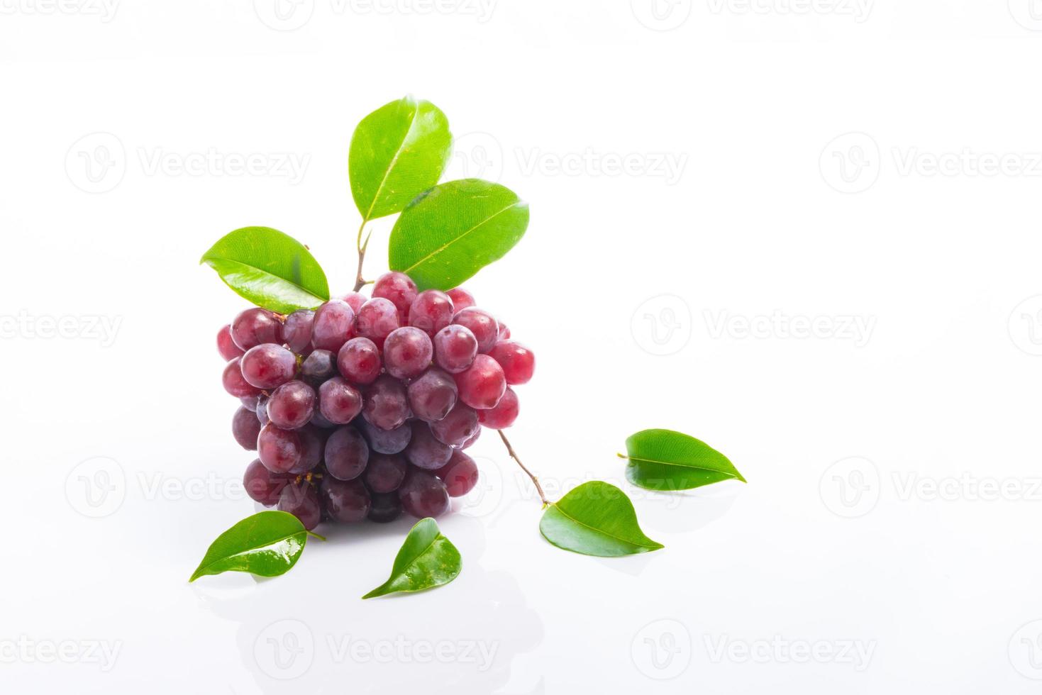 Red Grapes on white acrylic photo